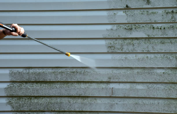 Solar Panel Cleaning in Moreauville, LA